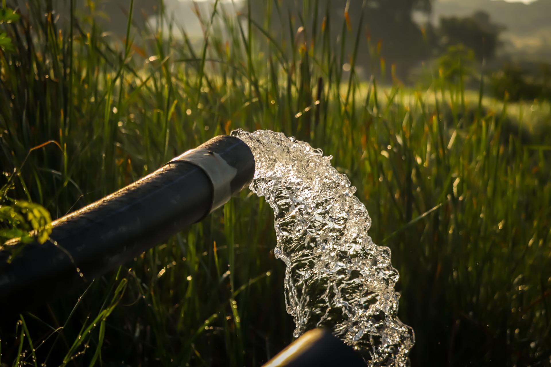Well water flowing from pipe in rural setting